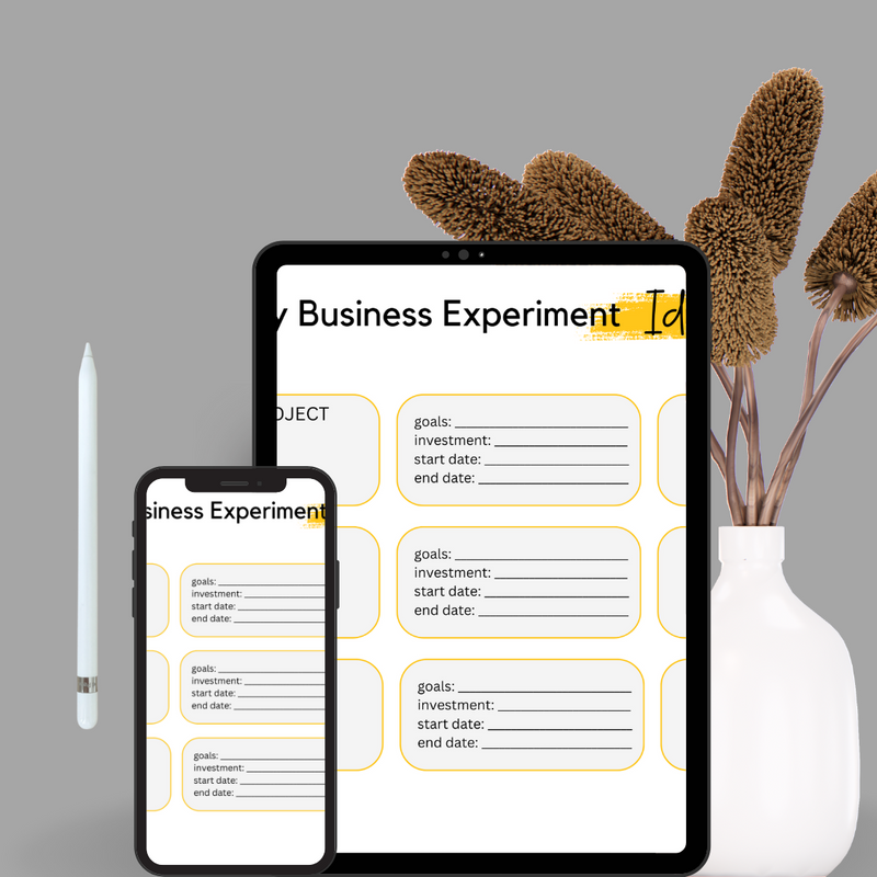 My Business Experiment  Ideas | Project, Goals, Investment, Start Date, End Date, Profit