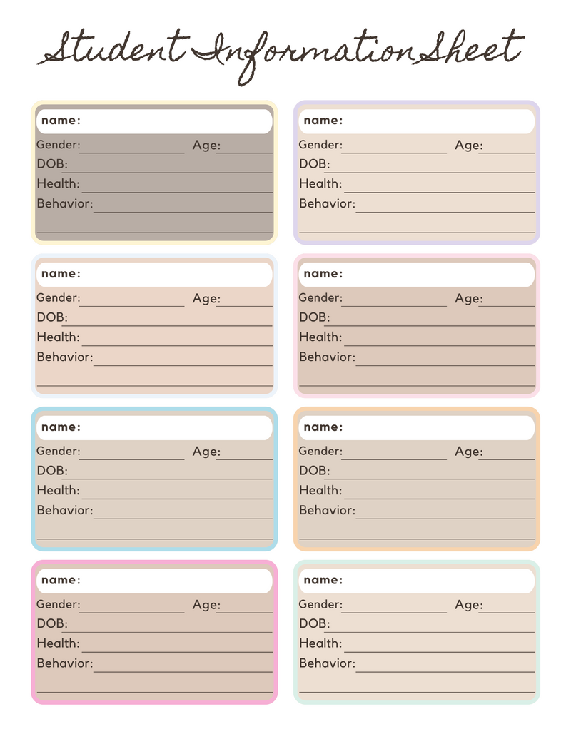 Colorful Simple Student Information Sheet Planner | Name, Gender, DOB, Health, Behavior, Age | PDF Digital Download