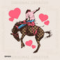 Love Heart Cowboy Checker Horse Valentine