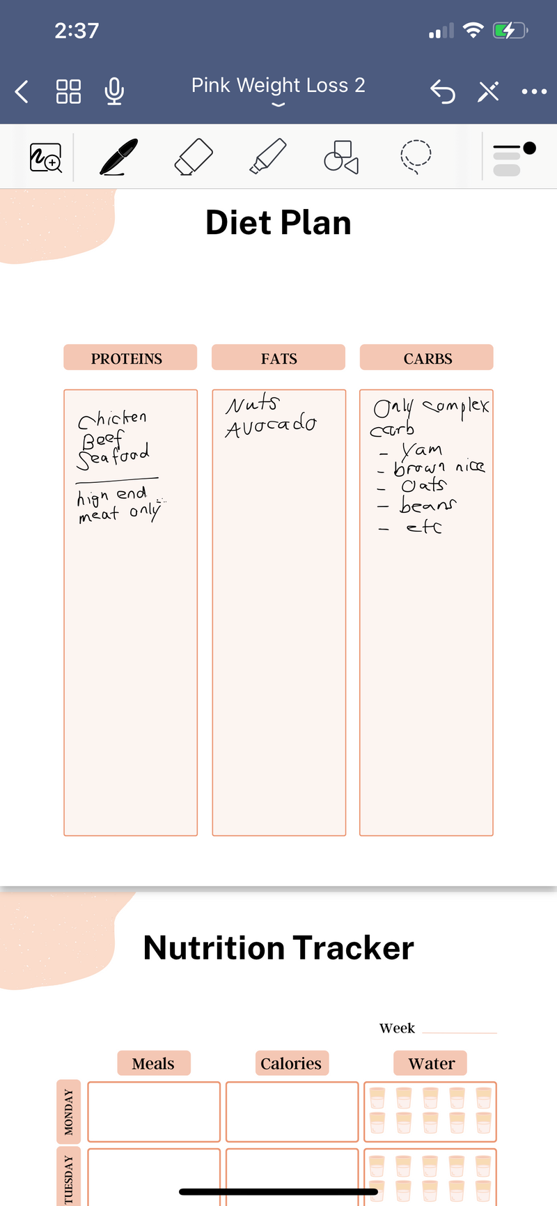 Weight Loss Planner | 158 Page PDF  | Printable, Digital